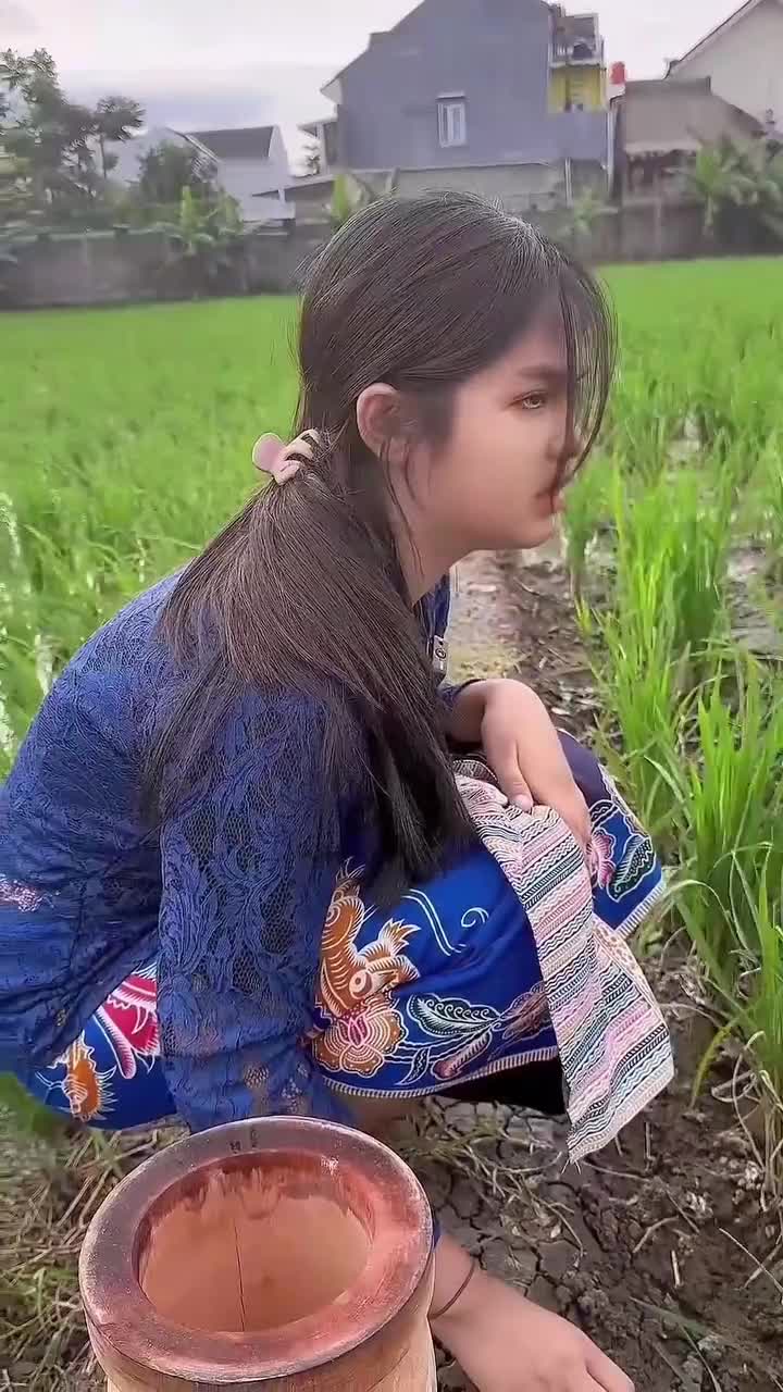 nyari Tutut di sawah #dailyvlog #Menyusuri persawahan di samping rawa pening.