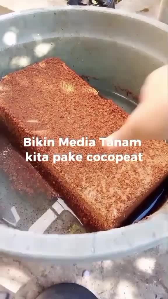 media tanam cocopeat