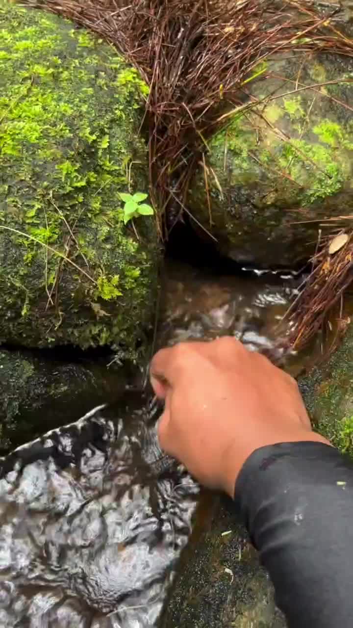 Sidat Purba
#Fyp #videoviral #videolucu #videongakak #ngakak #lucu #like #dagelan 