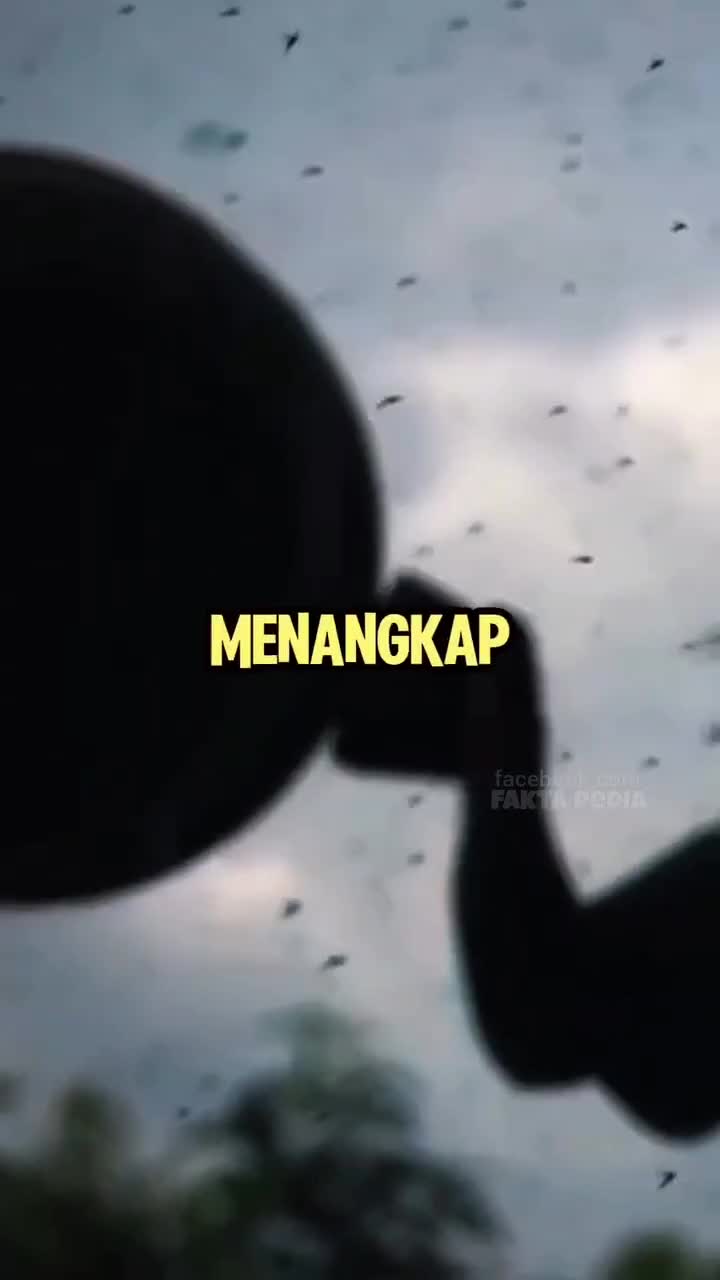 menu baru