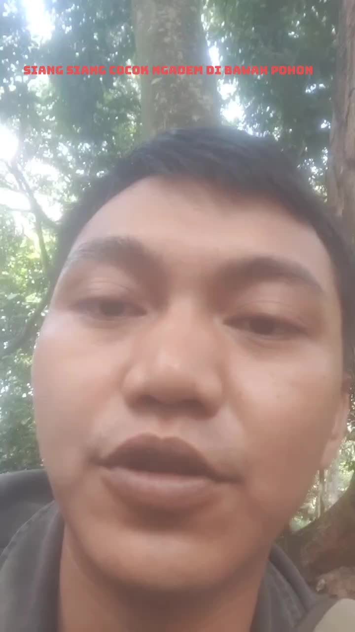 siang siang ngadem di bawah pohon yang rimbun,sangat sejuk dan adem bikin otak rileks #gede sekali pohonnya 