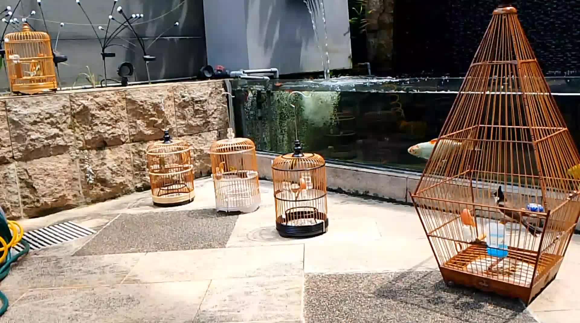 #fypシ゚viral #dcproduksen#denycaknan 