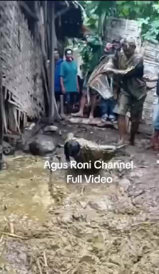 KUDA LUMPING APES
#videolucu #videokocak #videoviral