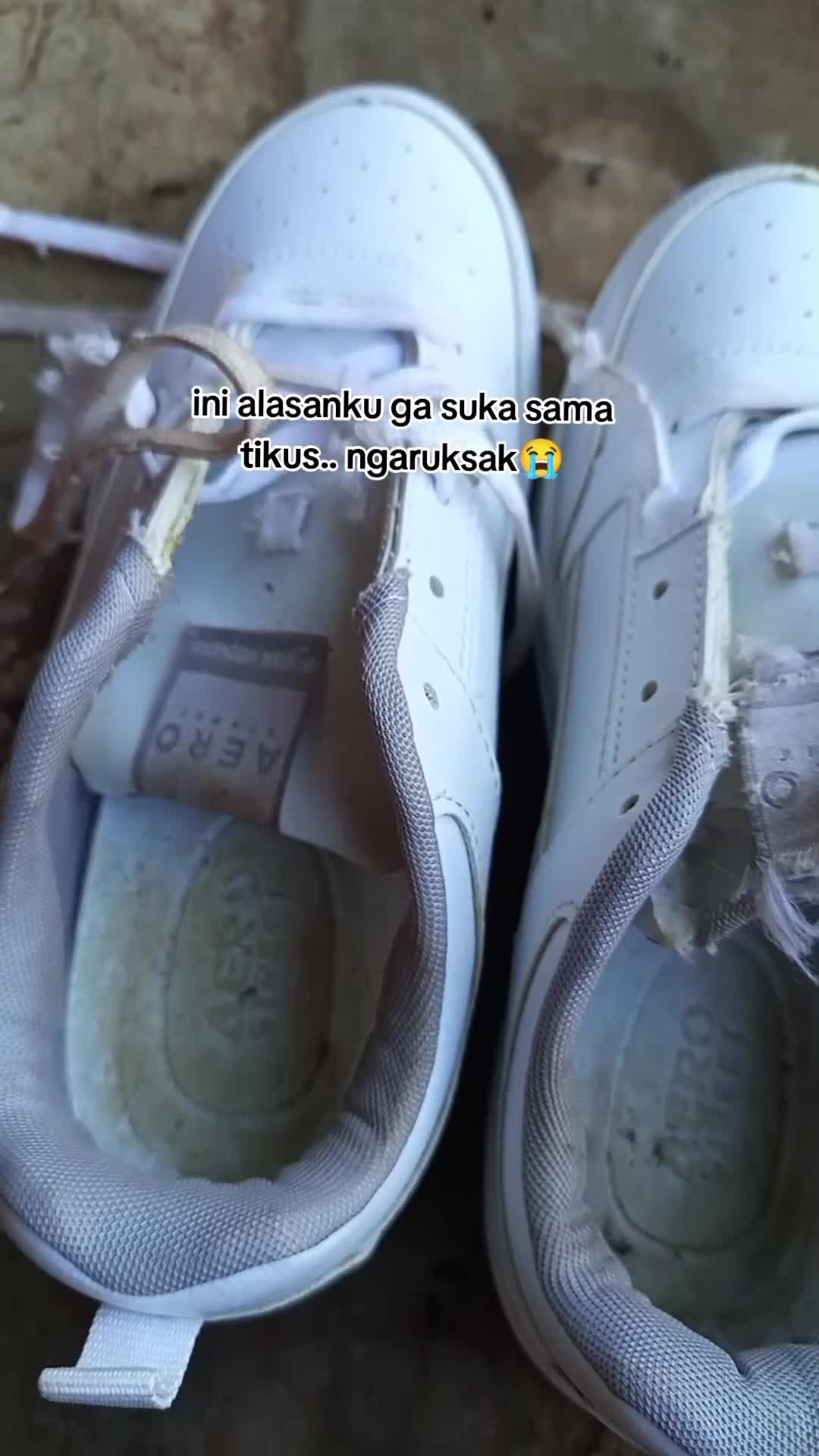 ini alasanku ga suka sama tikus,  ngaruksak