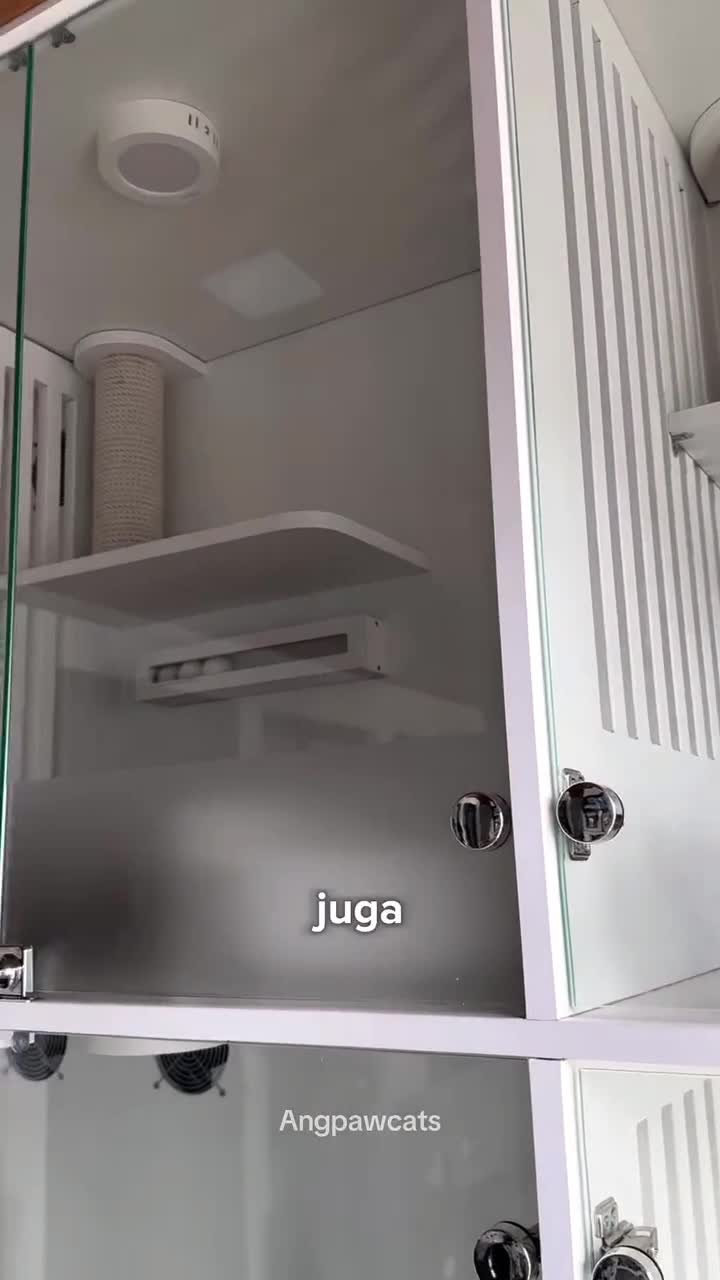 review jujur dari bu ibu
#Fyp #kucing #kucingindonesia #videoviral #videolucu #videongakak #ngakak #lucu #like #dagelan #HOTrctiplus