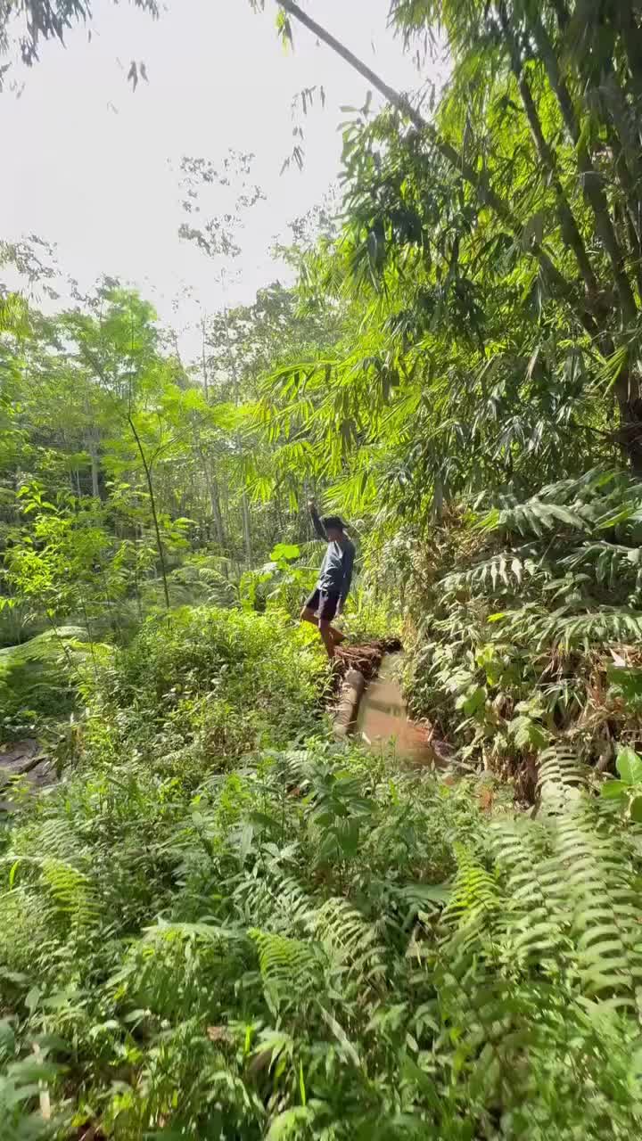 Nemu Bekas kolam ikan terbengkalai ternyata masih ada ikan babon nya  #RCTIPlus  #Viral  #mancing  #fyp  #fyi  #indonesia  #satisfying 