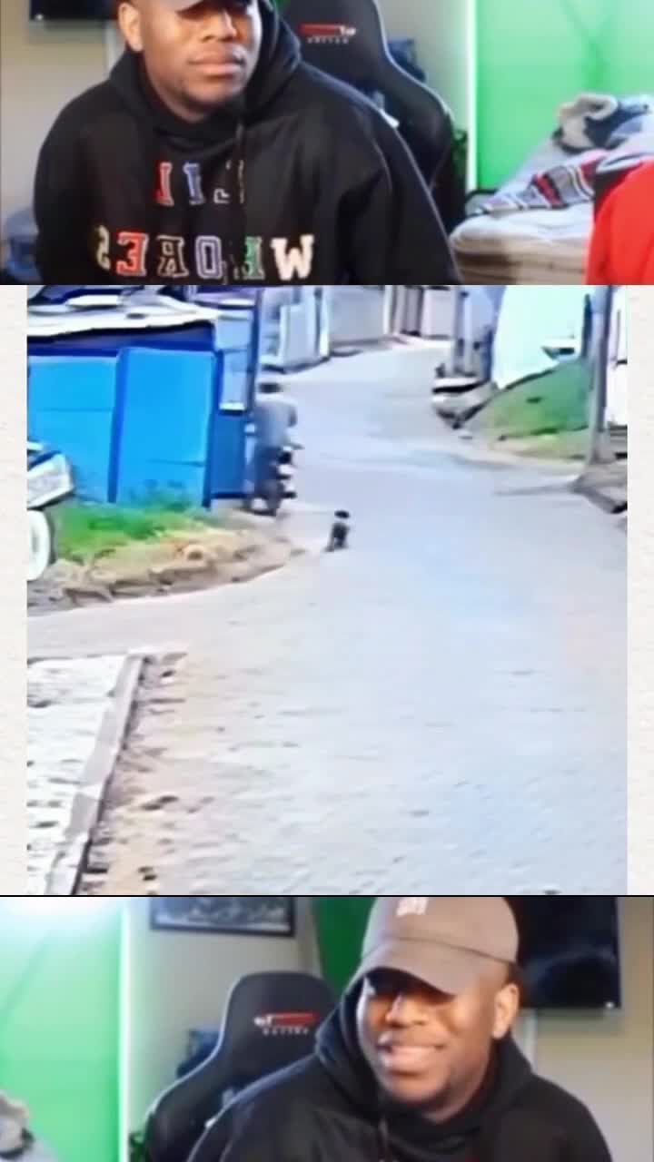 🐶:BIAR GUE URUS AJA INI ORANG||VIDEO MEME LUCU BIKIN NGAKAK🤣🤣.#RCTIPlus #shortplus #videolucu #videoviral #Viral #funny #funnyvideo 