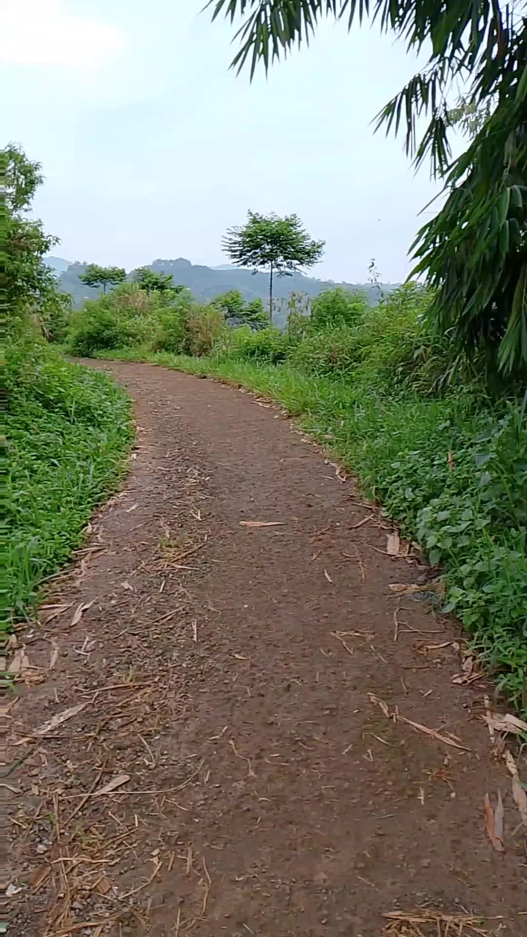 jalan kampung pinggir gunung