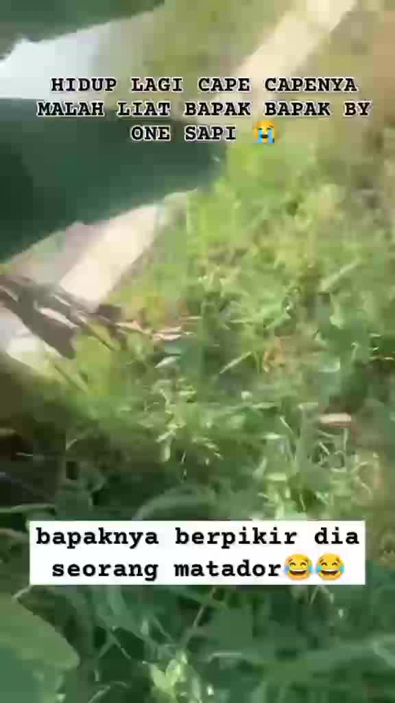 ccc