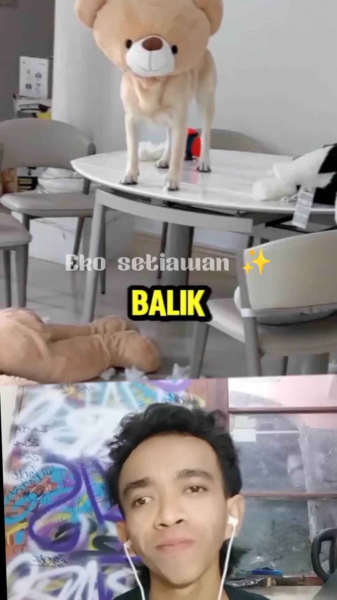 rumah si pria berantakan dan ternyata pelakunya adalah dua anjing peliharaannya 🤣 #duett #reactiont #fyp 