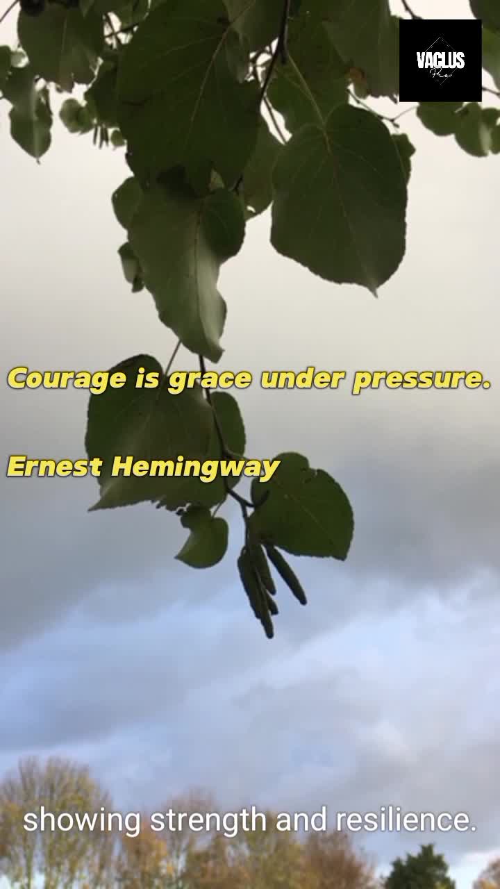 Courage is grace under pressure.

Ernest Hemingway

