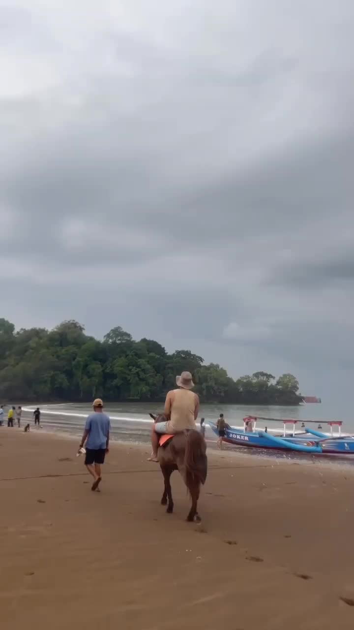masya allah pinter ya adek ga takut naik kuda ama ayah 