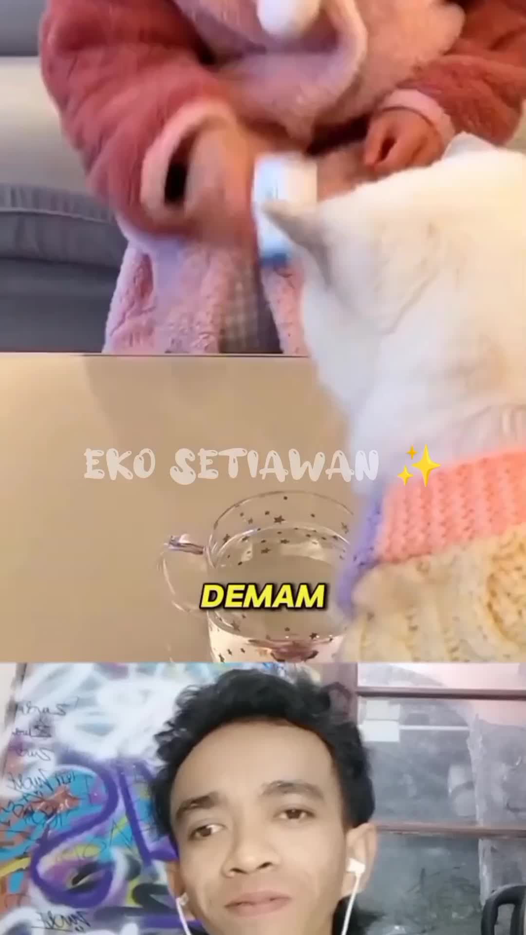 kucing ini sangat baik hati selalu membantu majikannya ?