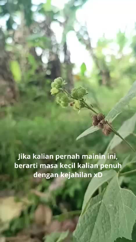 Kalian tahu apa ini? XD