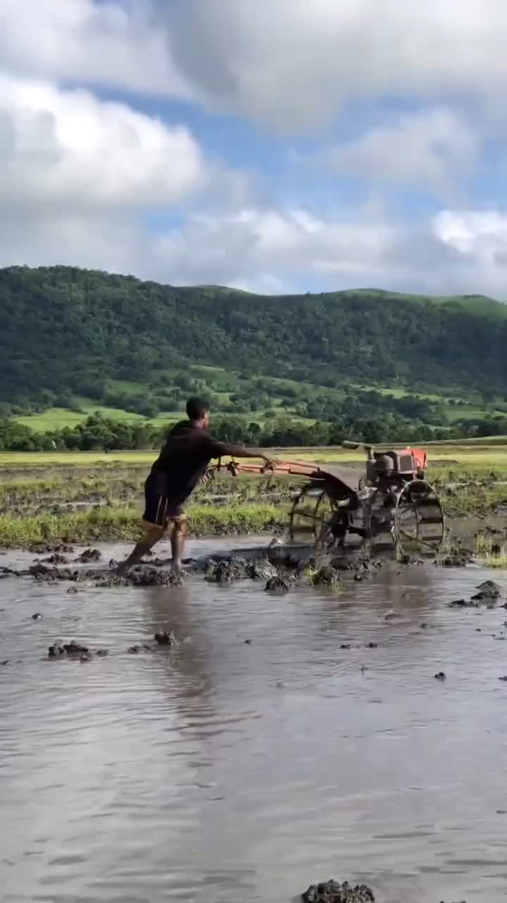 anak petani sawah