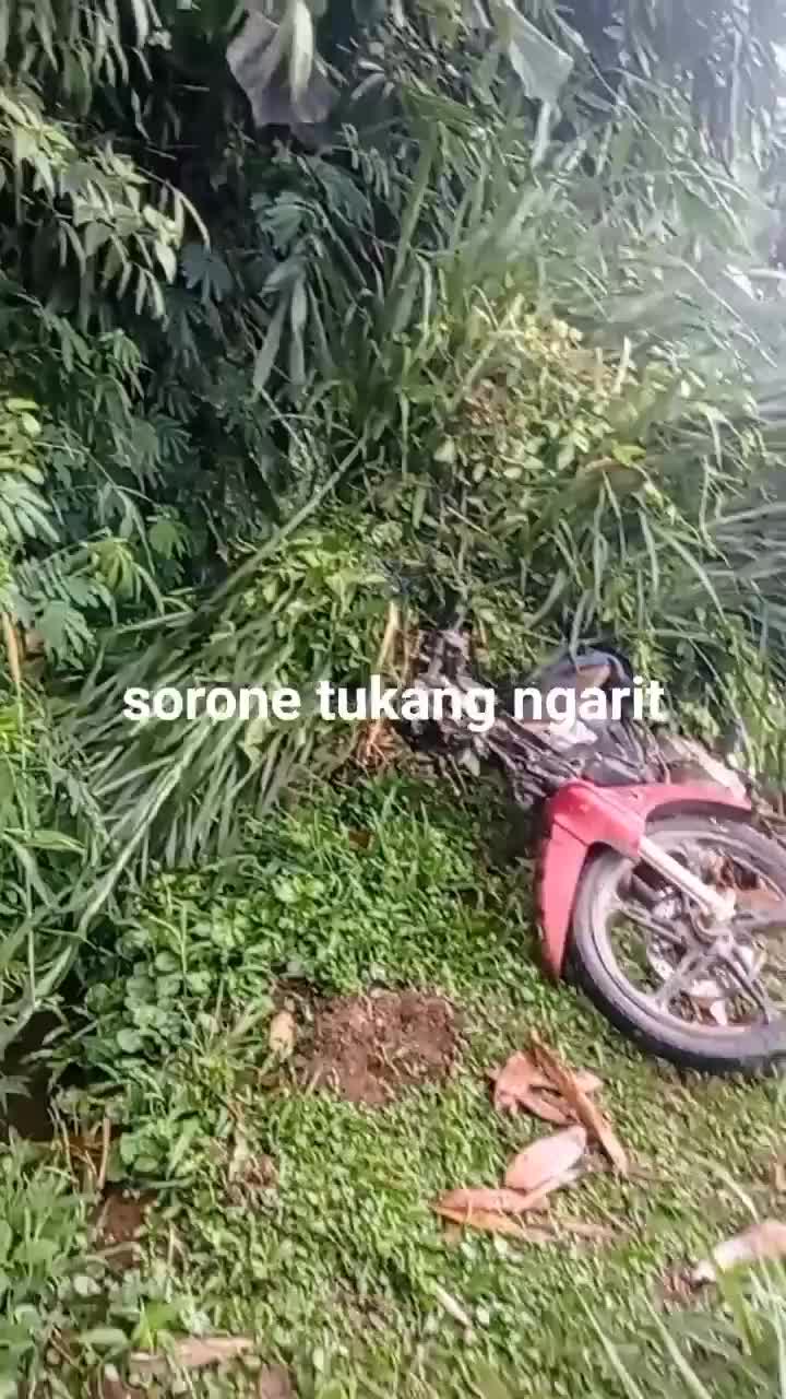 susahnya sebagzi tukang ngarit