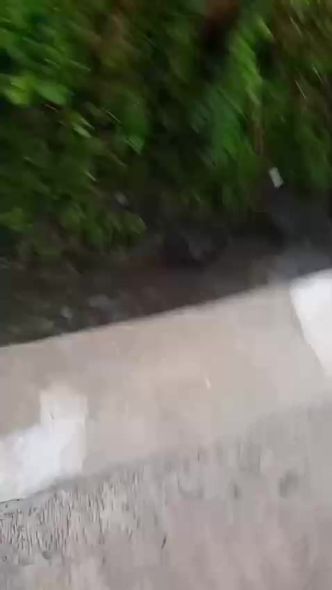 spot mancing terbaik menurut bocil