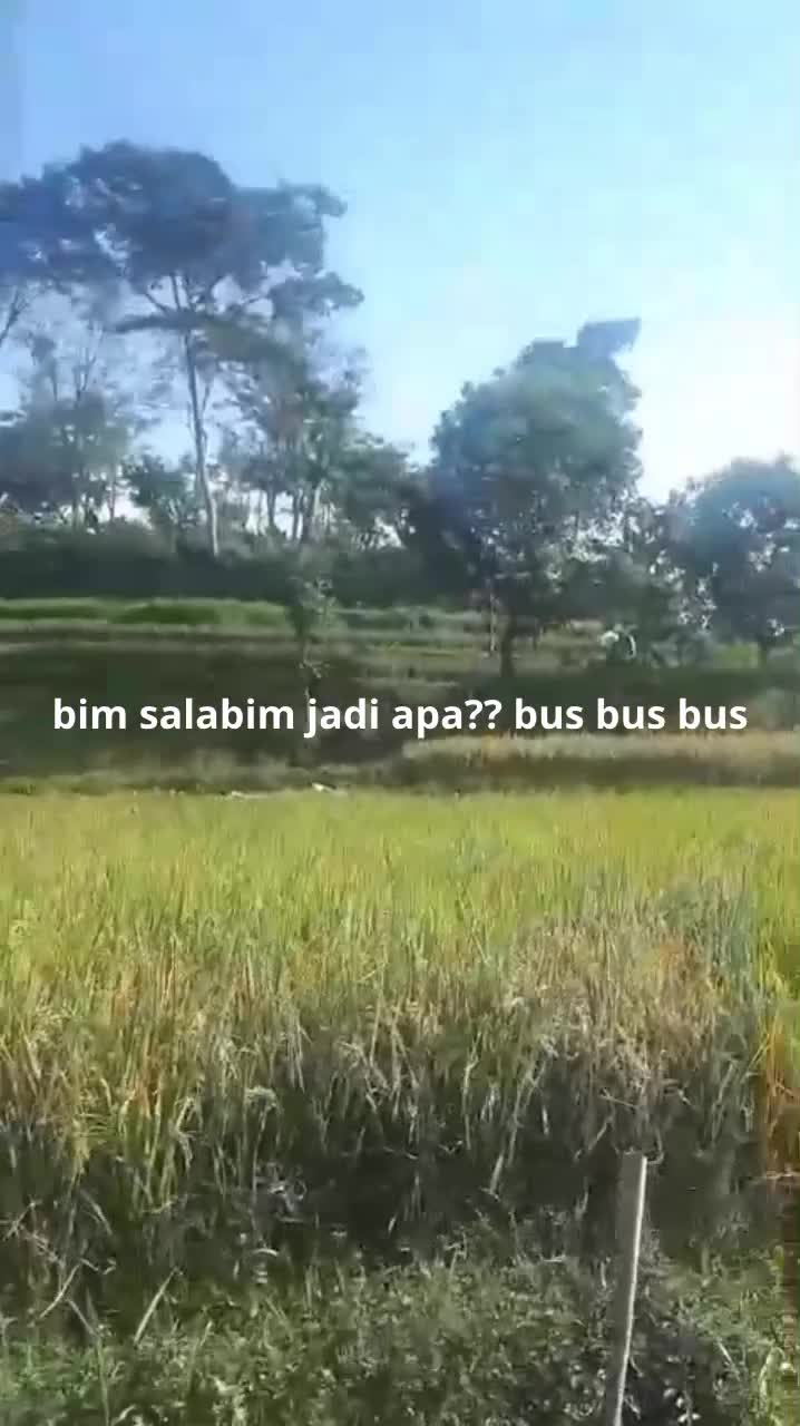 simsalabim jadi apa jreng jreng jreng ...hayo jadi apa yang bisa jawab dapat hadiah 