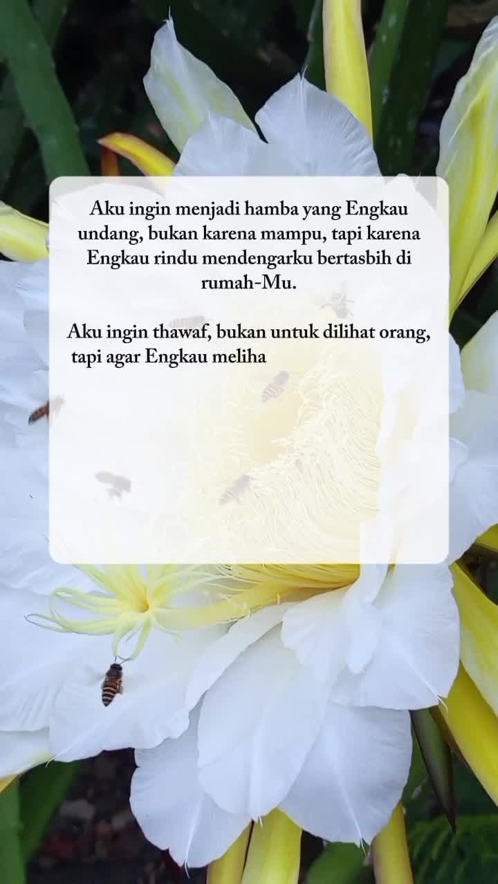 mudahkanlah Ya Allah, aamiin
