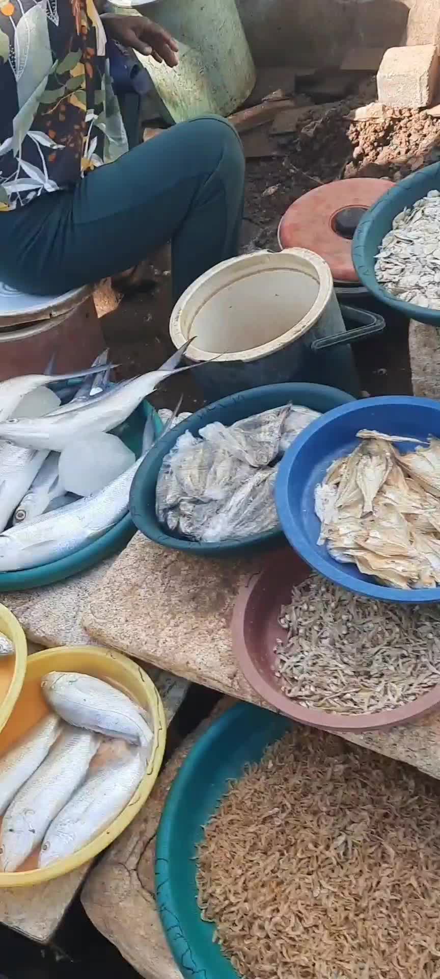 pasar ikan tambak loro#pasarikan#tambakloro#semarang#fyp#