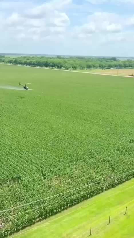 Bill Gates berinvestasi di bidang pertanian #billgates #davidbeckham #investasi #pertanian  #kebunshaka