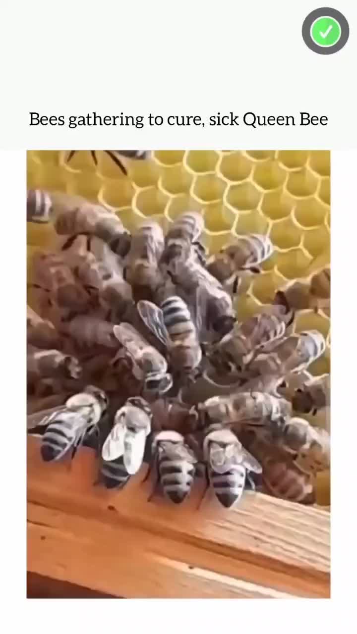 This Will Blow Your Mind! Part 124 🔥 #creativeprocess #innovation #trendingnow #inspiration