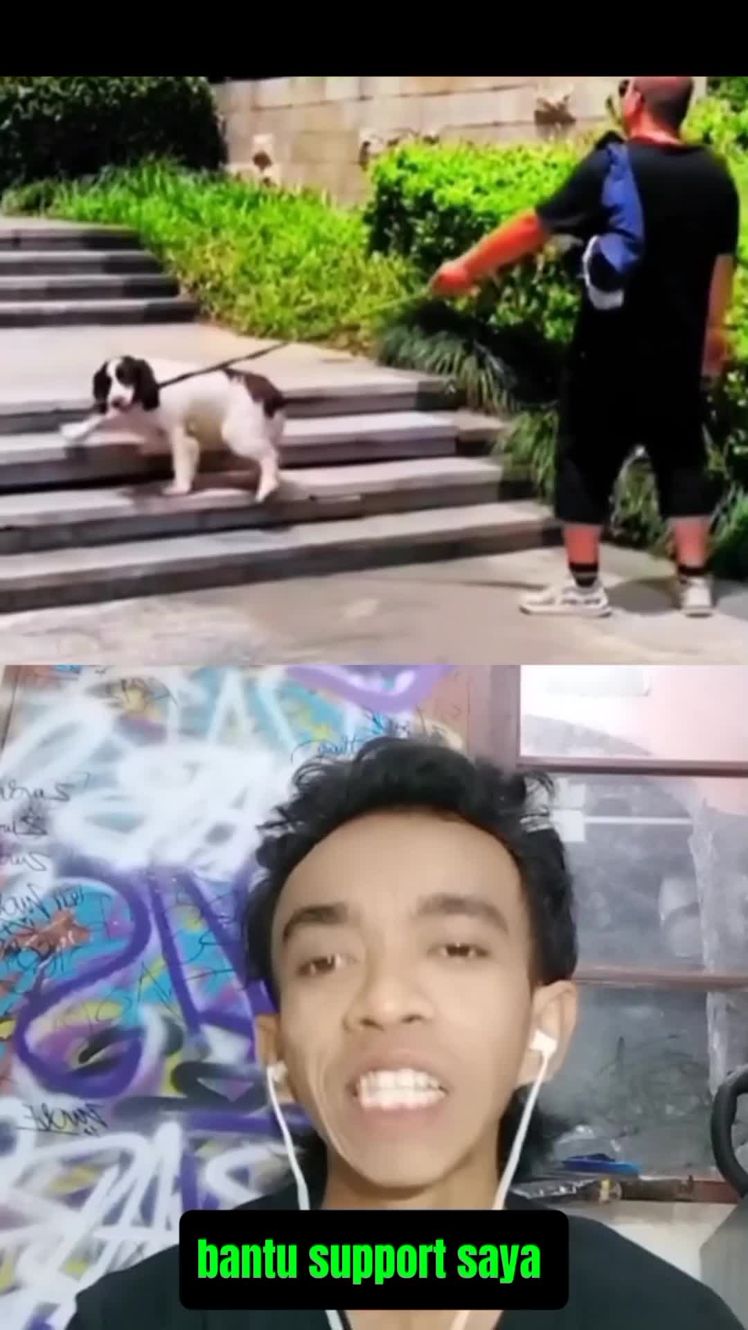 respect banget 🥺 terlihat seekor anjing menolong seorang buta untuk naik tangga✨ #reactiont #duett #respect #fyp 