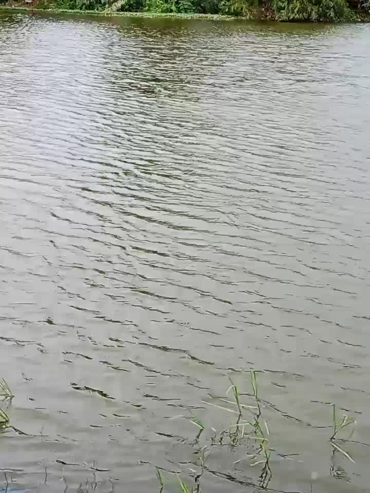 main di rawa serasa main di pantai