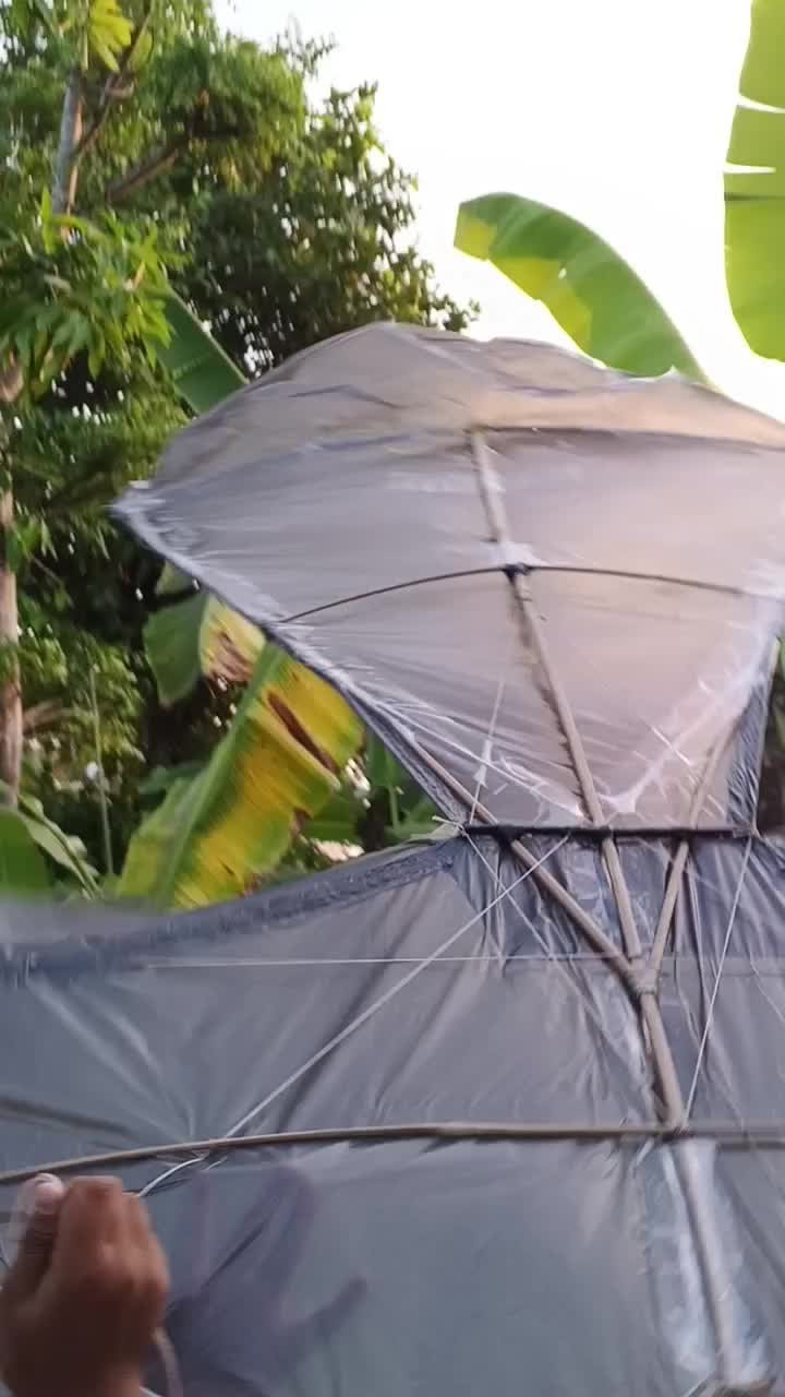 Layangan Elang