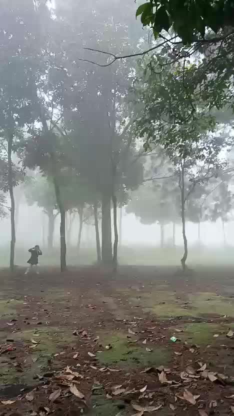 suasana berkabut di campground pagi ini 
#camping #campingground #liburan #kotamalang #cobanrondo #malang #kotabatu #jawatimur 