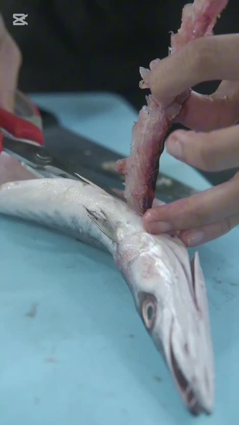 Halo rek! aku Michael dan ayo kita buat "Kari Ikan Cendro"