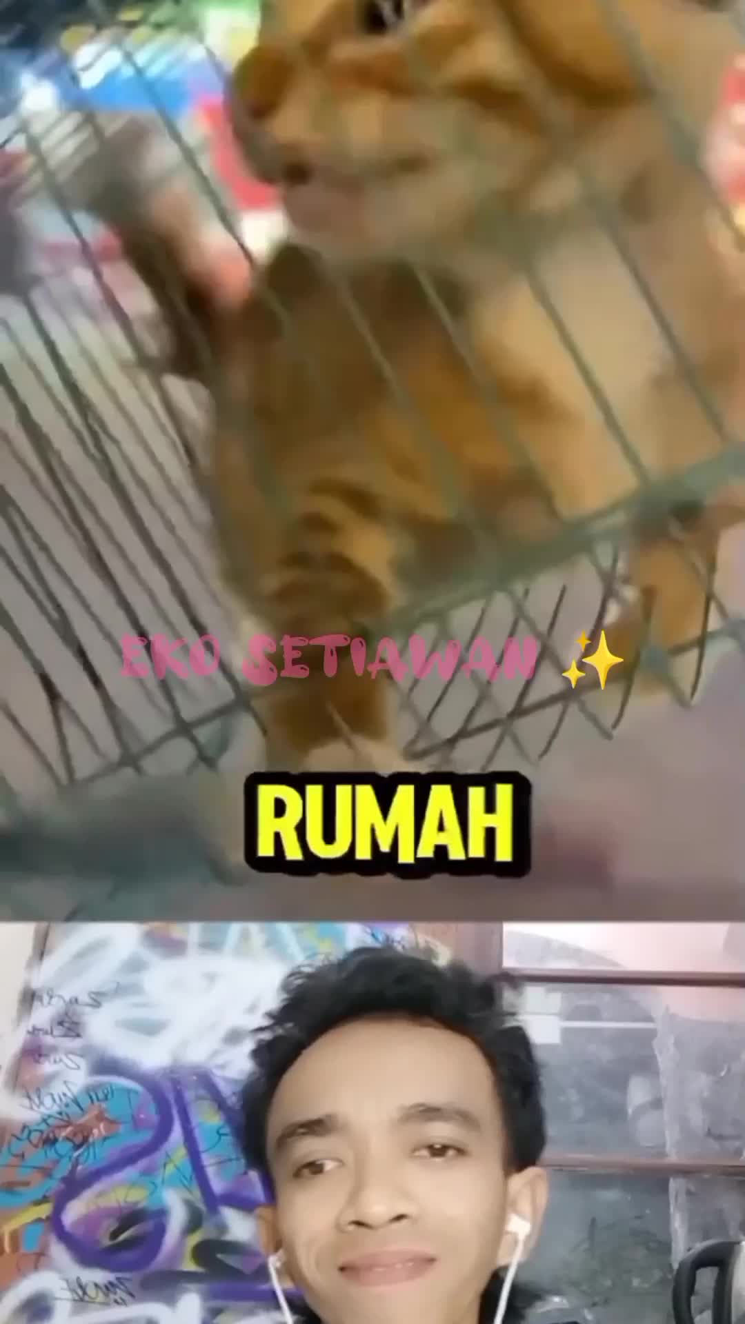 seekor anak kucing menjadi hadiah permainan di pasar malam?