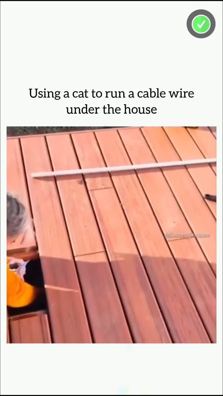 This Will Blow Your Mind! Part 147 🔥 #creativeprocess #innovation #trendingnow #inspiration