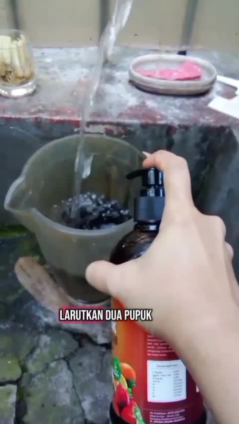 Pupuk Organik Cair Dari Infarm bantu tanaman yang daunnya abis dimakan hama kembali tumbuh #tanaman #tanamanterong #pupukcairdariinfarm 