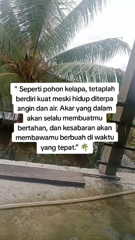 motivasi hidup  #motivasi  #quotes  #Inspirasi 