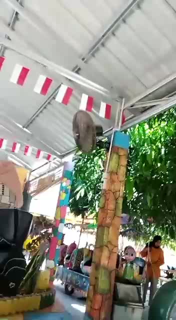 Suara emas yg menyejukkan hati 😁😁