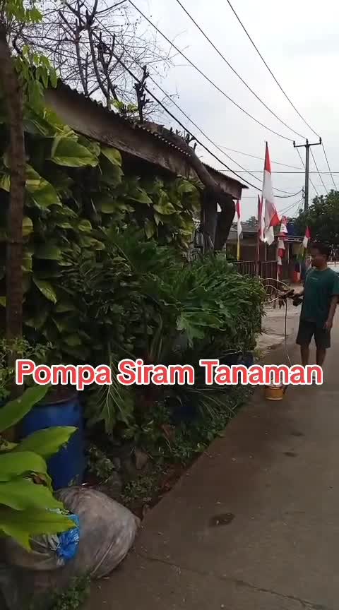 Siram tanaman 
 #pompasiramtanaman
