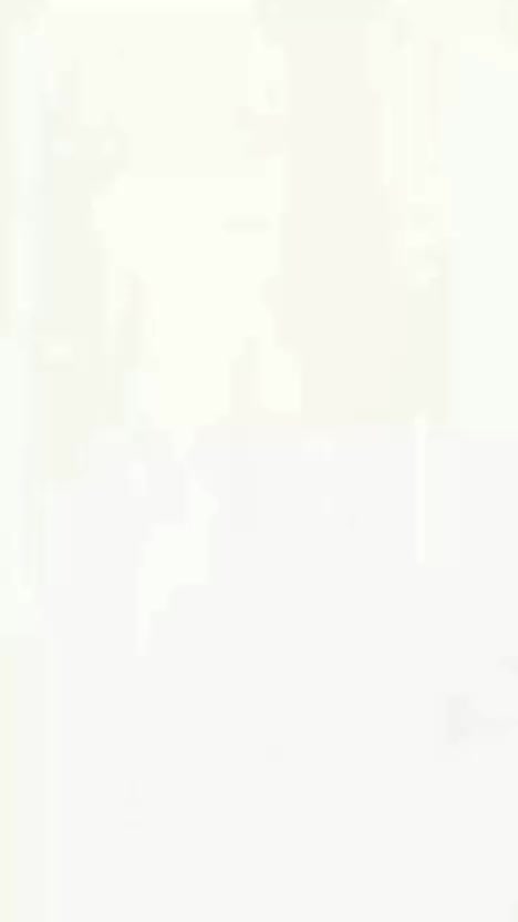 Outbound at Kintamani