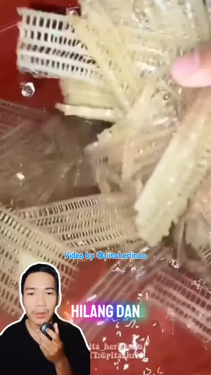 Hanya dari gedebog atau batang pisang..
Jadilah keripik yang gurih dan renyah #videoreaction #reactionvideo #reels #shorts​ 