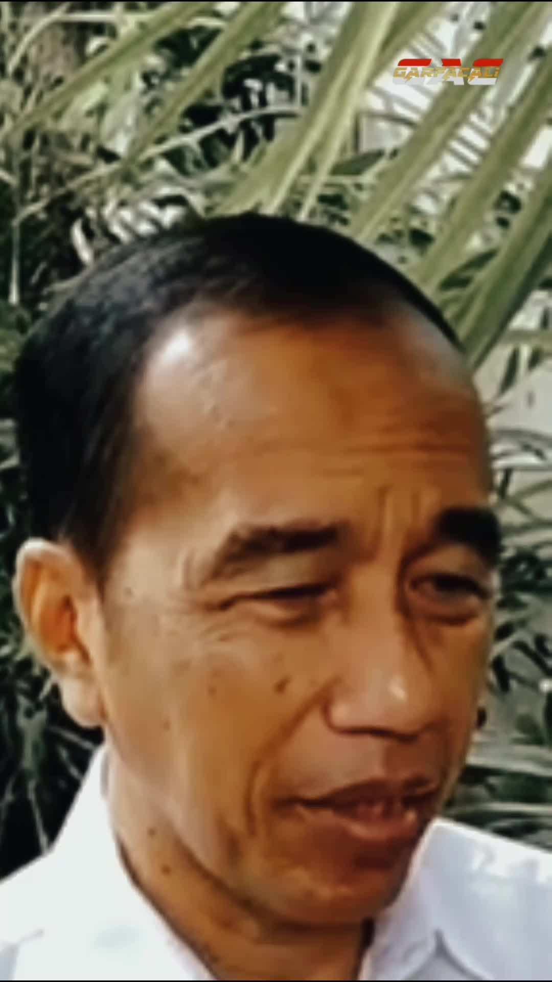 Jokowi Ungkap Isi Pertemuan dengan Sri Sultan HB X