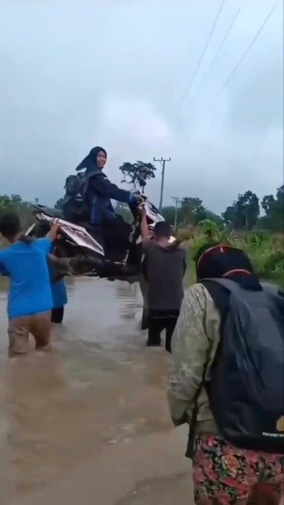 bayar berapa kira kira ya di gotong sama orang orang nya 🤣