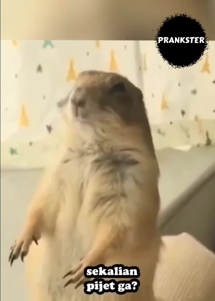 #430 Takut kan😂
#videolucu #prank 