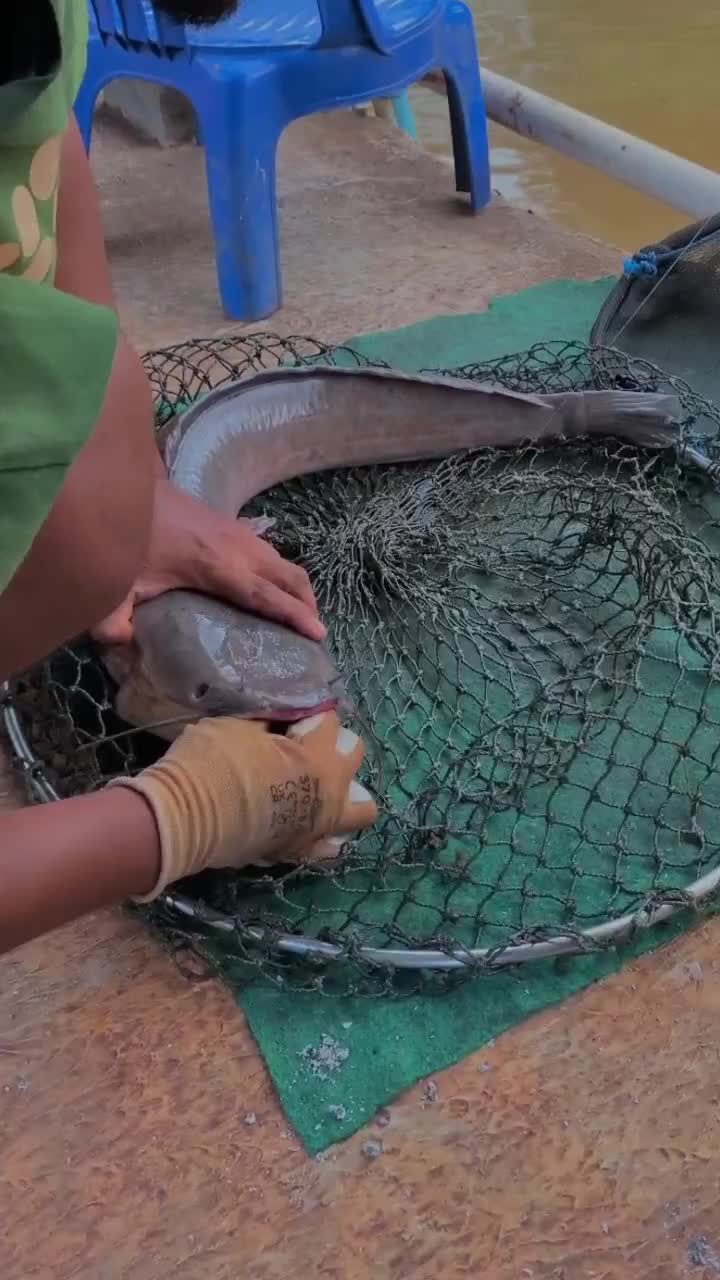 family fishing 3