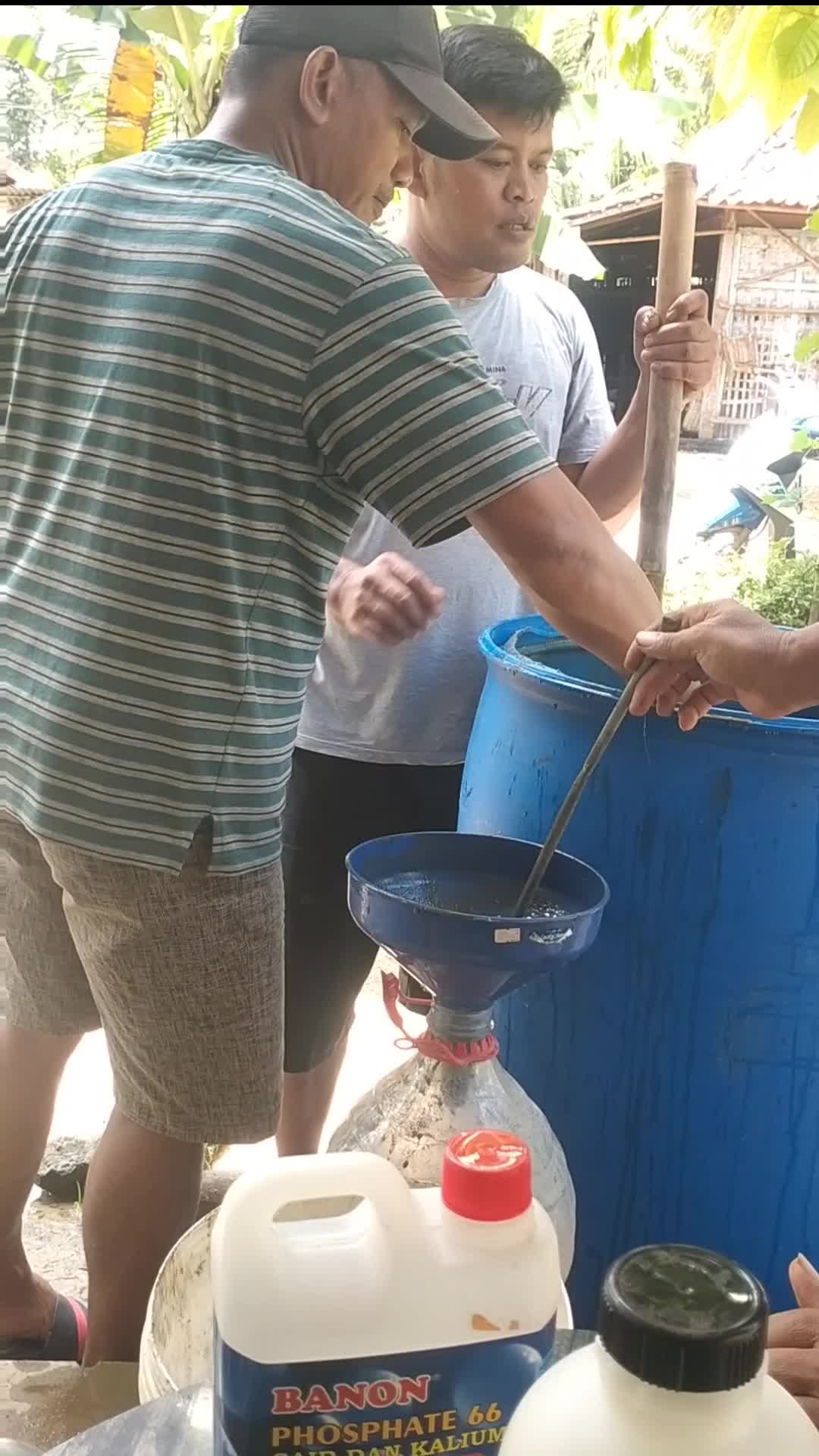 Pembagian Pupuk Gandarwo  #pupukgandarwo 
