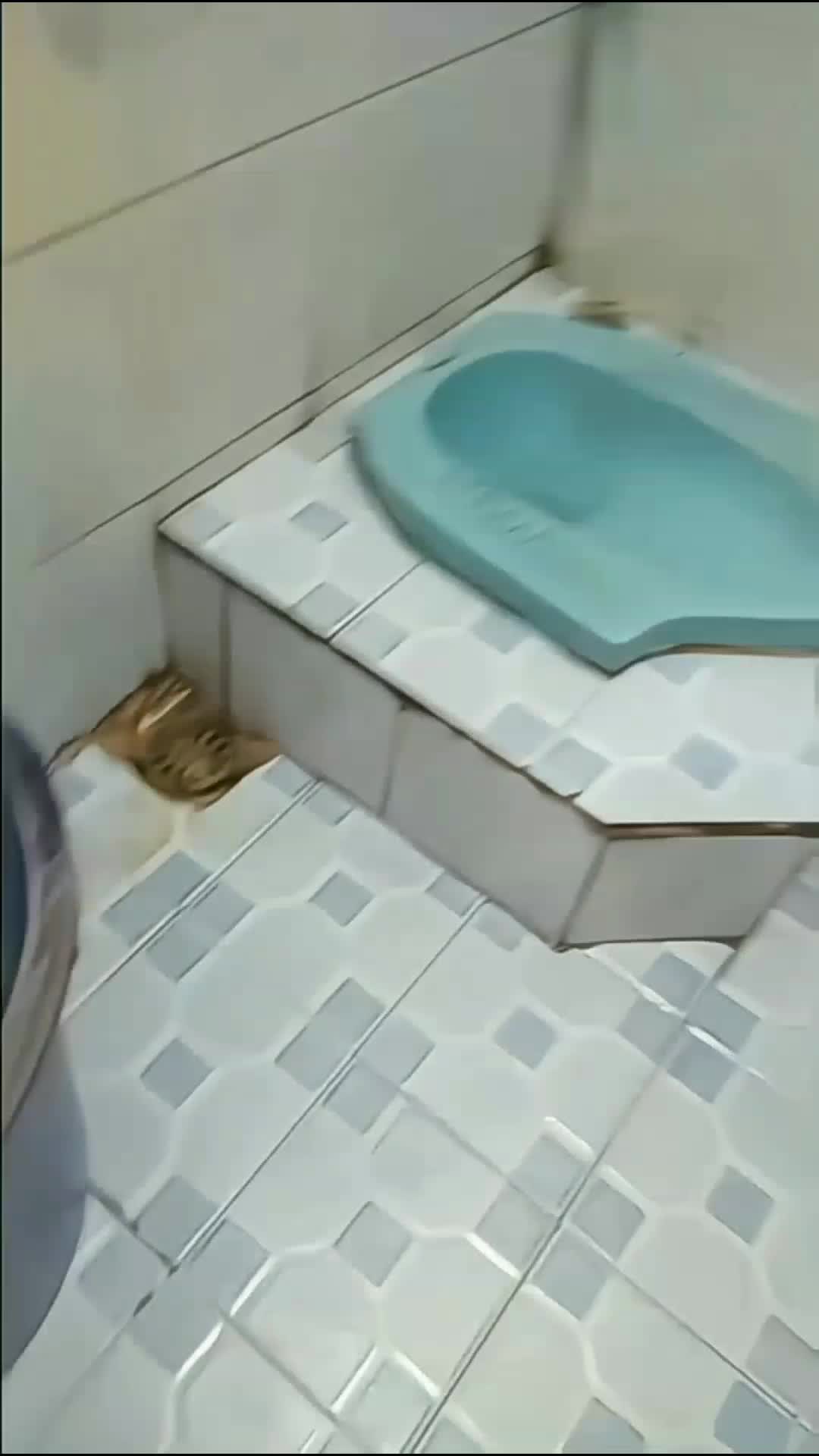 WC AUTO BERSIH #MyFirstVideoOnHot+ 