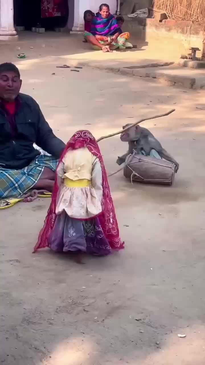 Topeng monyet

 #videolucu
