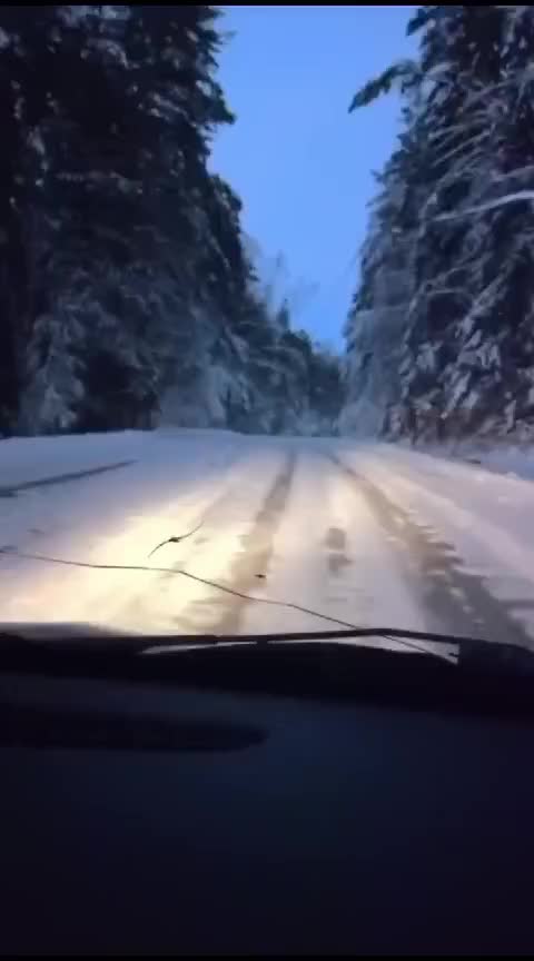 Musim dingin Di Russia