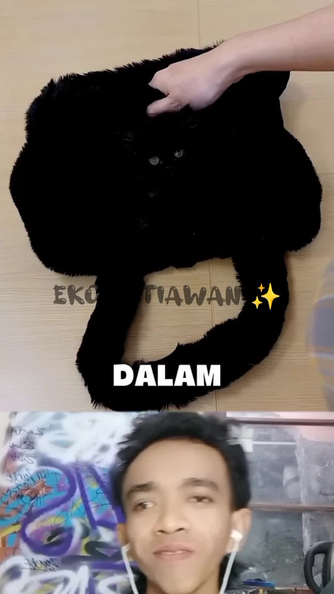karna terlalu hitam warna kucing ini, kucing ini selalu gak kelihatan ?