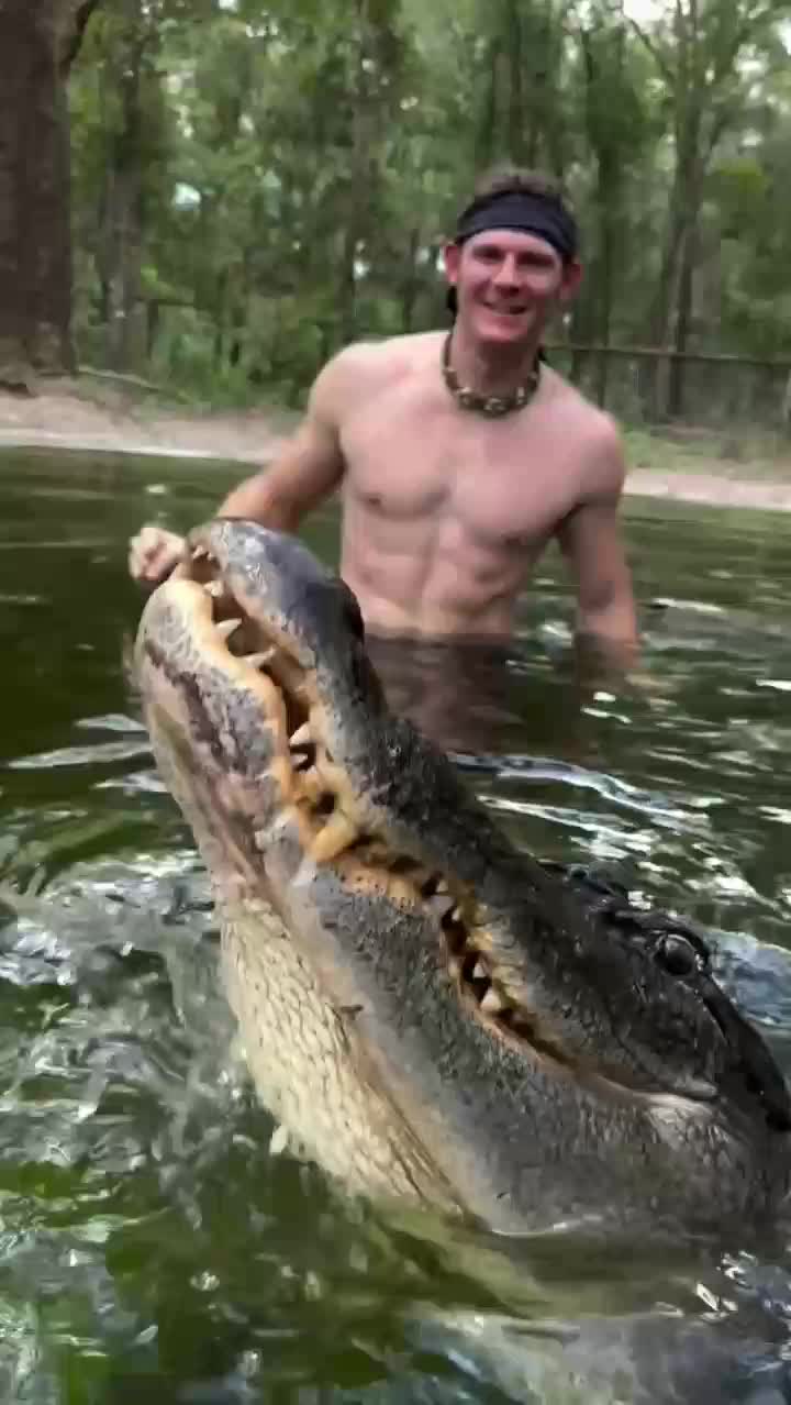 buaya gede

 #videolucu
