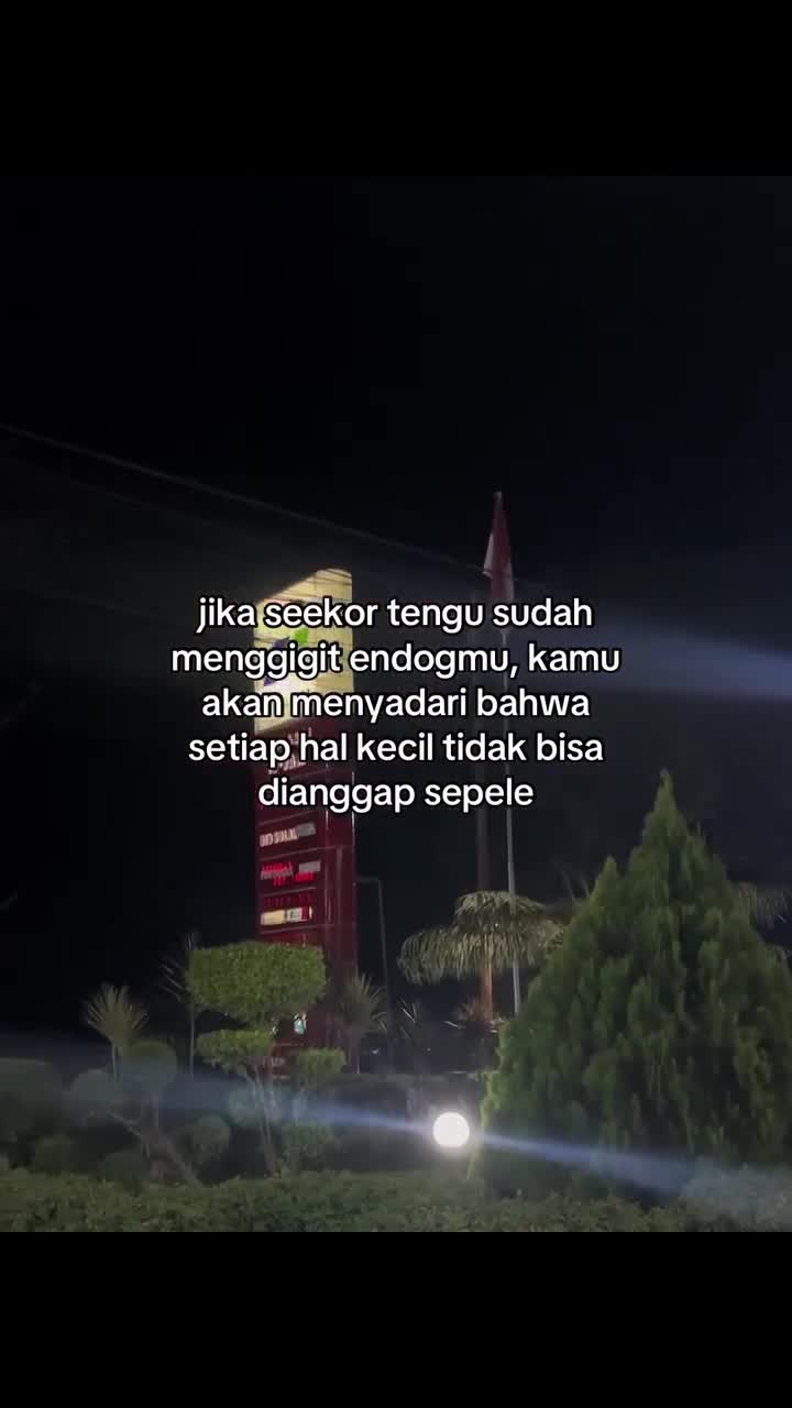  #fypシ 
